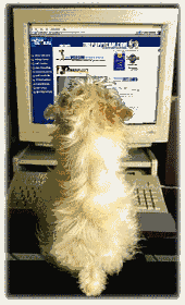 Beschreibung: Computerhund